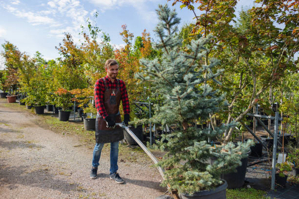 Best Tree Planting Services  in Glen Gardner, NJ